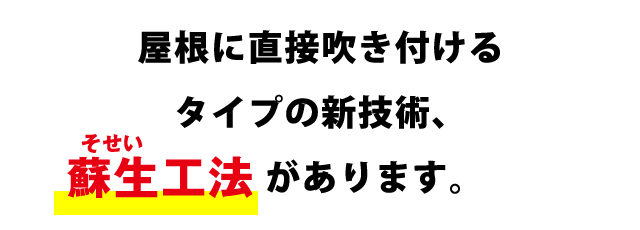 屋根に直接吹き付けるタイプの新技術、があります。